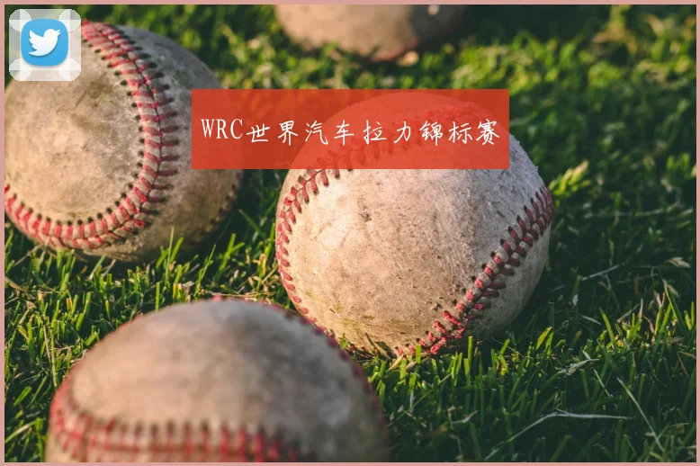 WRC世界汽车拉力锦标赛