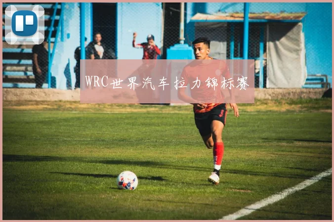 WRC世界汽车拉力锦标赛