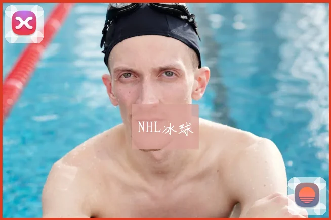 NHL冰球