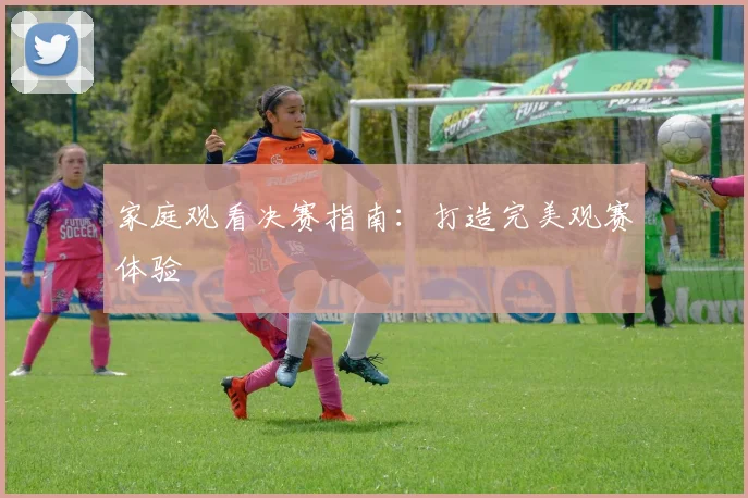 家庭观看决赛指南:打造完美观赛体验