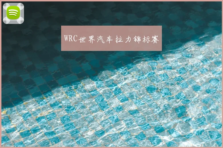 WRC世界汽车拉力锦标赛