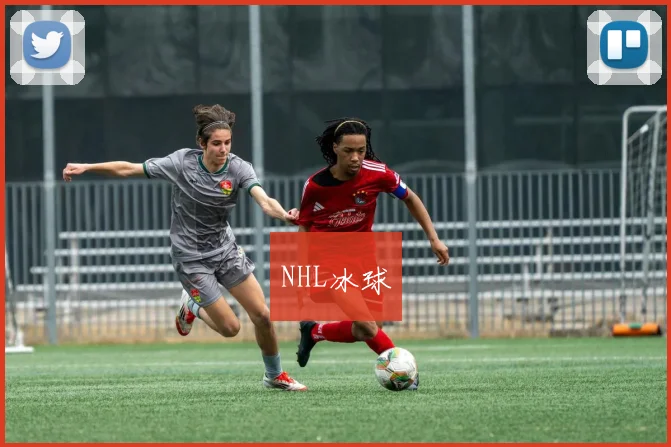 NHL冰球