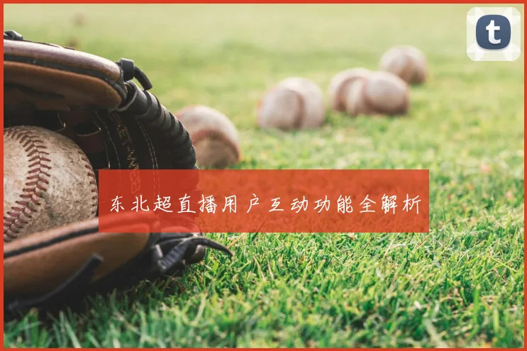 东北超直播用户互动功能全解析