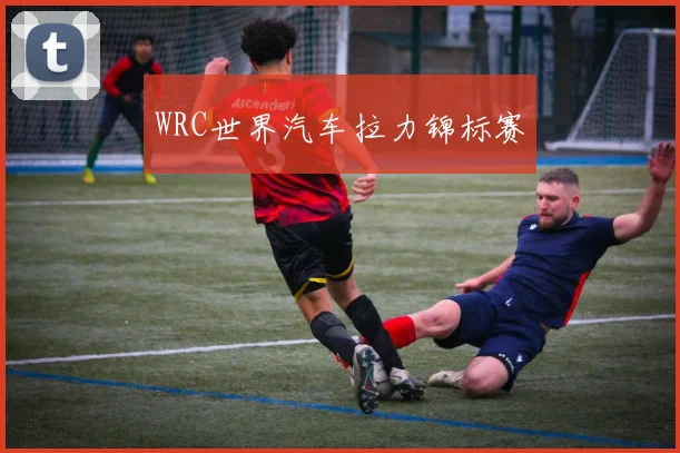 WRC世界汽车拉力锦标赛