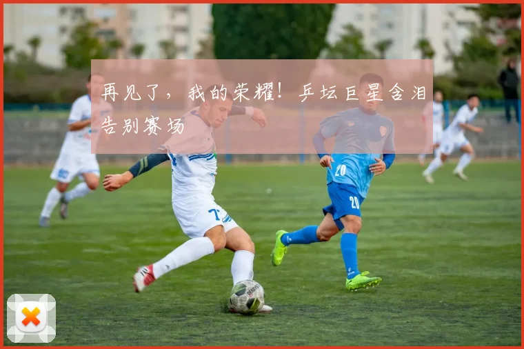 再见了,我的荣耀!乒坛巨星含泪告别赛场
